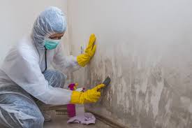 Best Residential Mold Inspection & Testing  in Mauston, WI